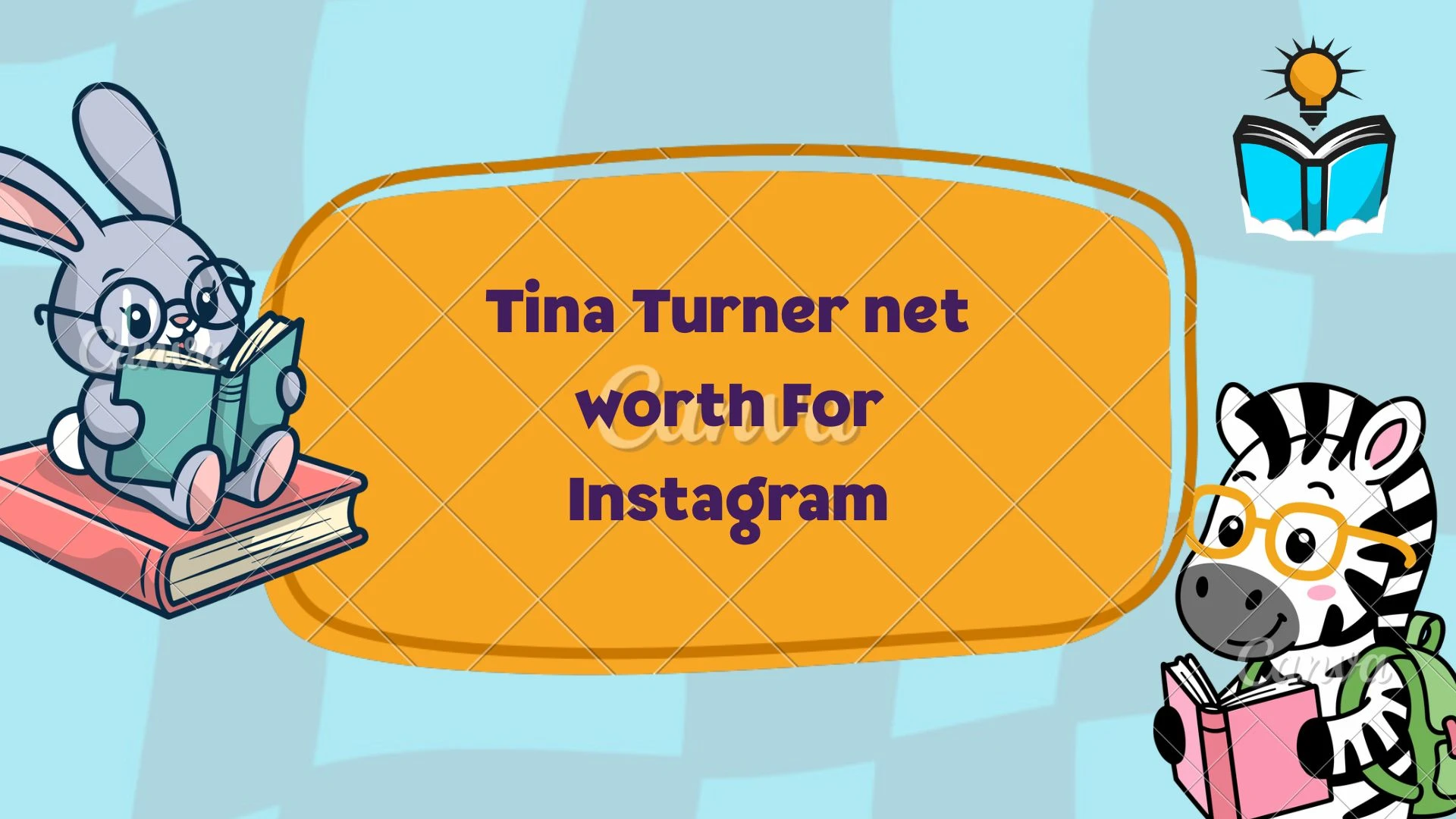Tina Turner net worth For Instagram